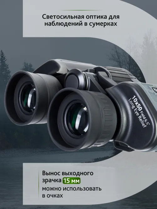 Бинокль Levenhuk Discovery Flint 10x50 изображение