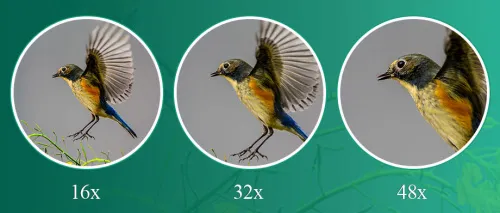 Зрительная труба SVBONY SV406P 16–48x65 ED WP фото