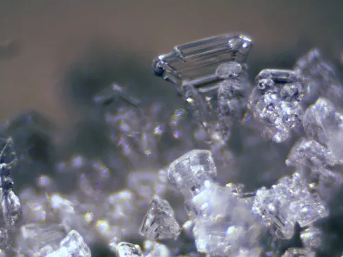 Микроскоп стереоскопический Bresser Erudit ICD 20x/40x фото