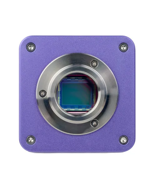 Микроскоп стереоскопический цифровой MAGUS Stereo D8T PLUS картинка