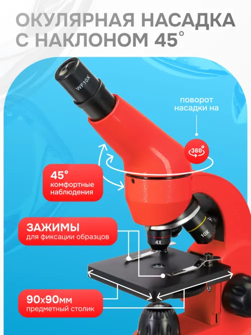 Микроскоп Levenhuk Rainbow 50L картинка