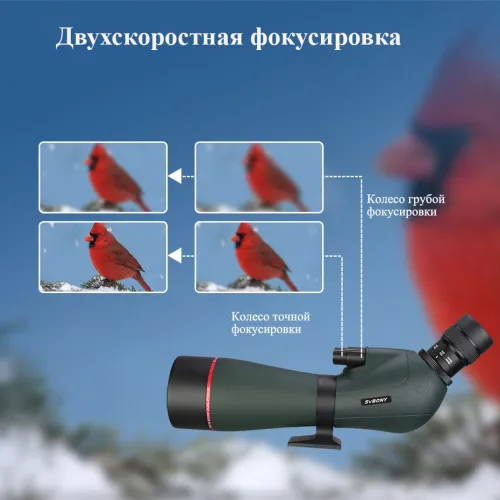 Зрительная труба SVBONY SV406P 20–60x80 ED WP изображение