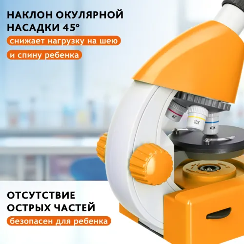Микроскоп Levenhuk Discovery Micro с книгой изображение