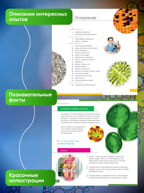 Книга знаний «Невидимый мир» картинка