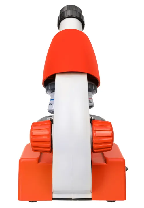 Микроскоп Levenhuk Discovery Micro с книгой изображение