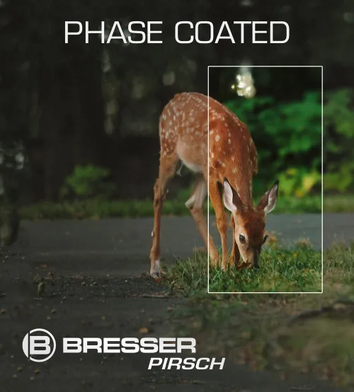 Бинокль Bresser Pirsch 10x42 фотография