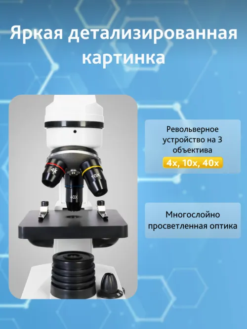 Микроскоп Levenhuk Rainbow 2L картинка