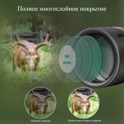 Зрительная труба SVBONY SV46 20–60x80 WP картинка