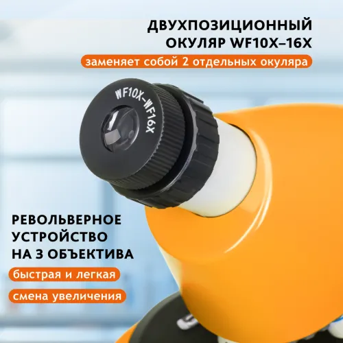 Микроскоп Levenhuk Discovery Micro с книгой картинка