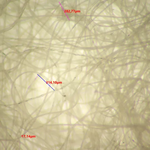 Микроскоп стереоскопический цифровой MAGUS Stereo D9T LCD изображение