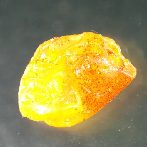 Микроскоп стереоскопический MAGUS Stereo A8 фотография