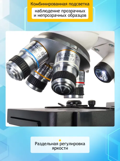 Микроскоп Levenhuk Discovery Atto Polar с книгой фотография
