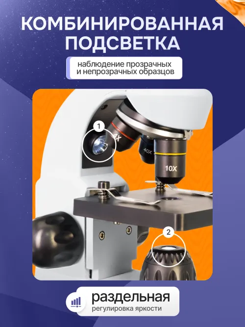 Микроскоп Levenhuk Rainbow D50L PLUS, 2 Мпикс, Moonstone\Лунный камень фото