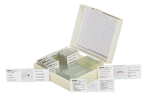 Набор микропрепаратов Konus 10: «Естественные науки» изображение