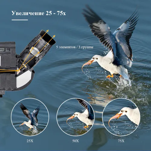 Зрительная труба SVBONY SV41 25–75x70 MAK WP со штативом фото