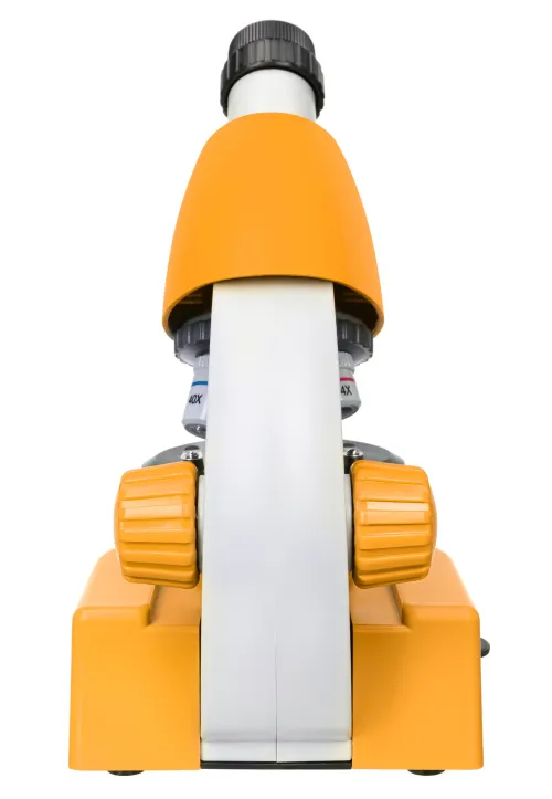 Микроскоп Levenhuk Discovery Micro с книгой изображение