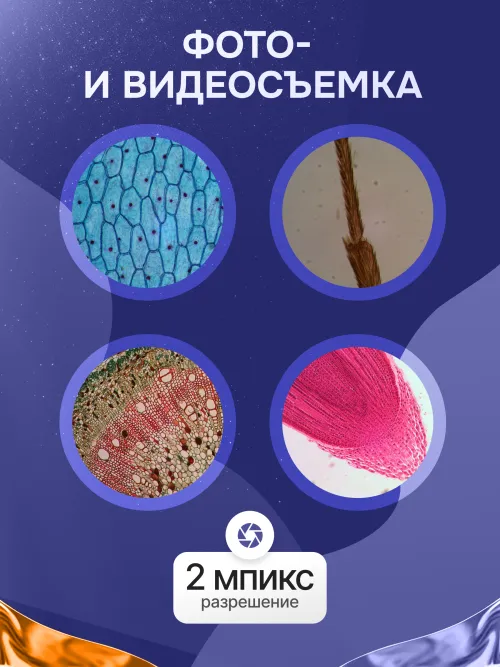 Микроскоп Levenhuk Rainbow D50L PLUS, 2 Мпикс, Moonstone\Лунный камень изображение