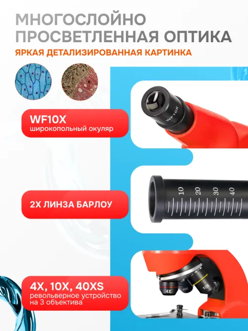 Микроскоп Levenhuk Rainbow 50L изображение