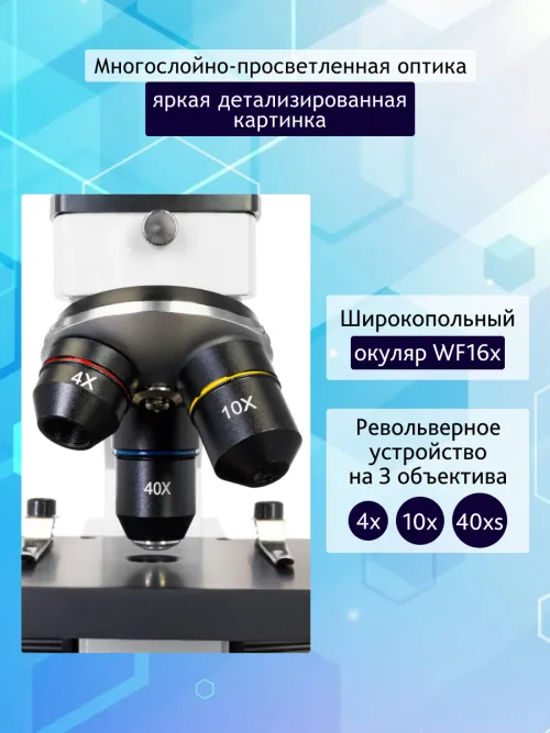 Микроскоп Levenhuk Rainbow 2L PLUS картинка