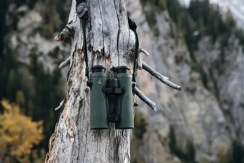 Бинокль-дальномер SWAROVSKI EL Range TA 10x42 картинка