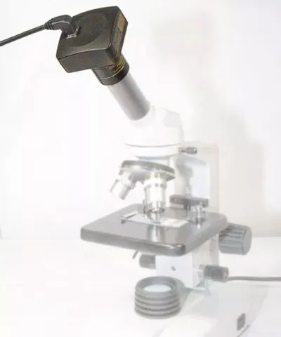 Видеоокуляр ToupCam 10 Мпикс (U3CMOS10000KPA) изображение