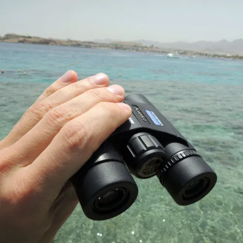 Бинокль Kenko SG EX 10x25 DH WP фотография