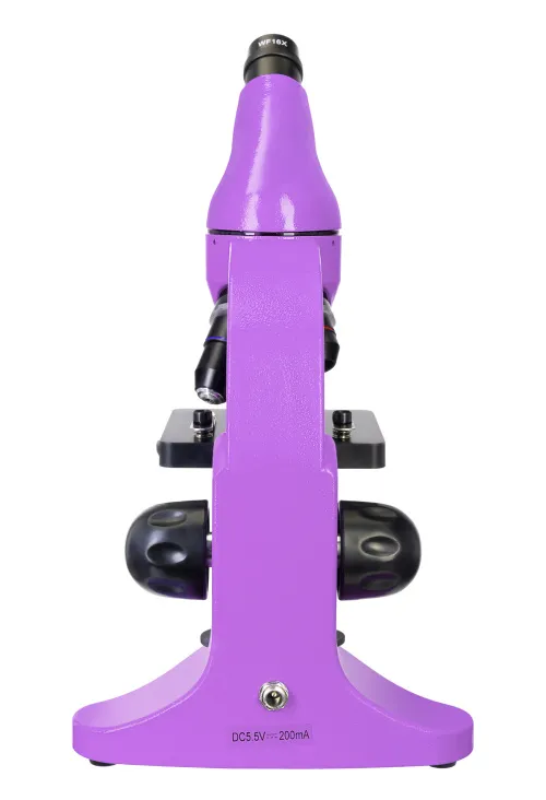 Микроскоп Levenhuk Rainbow 50L PLUS картинка