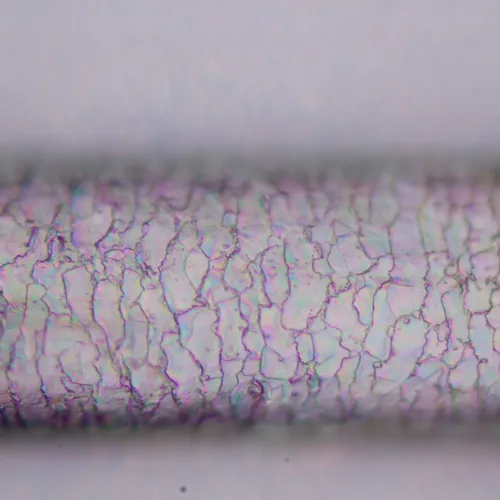 Микроскоп поляризационный цифровой MAGUS Pol D800 LCD картинка