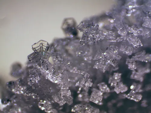 Микроскоп стереоскопический Bresser Erudit ICD 20x/40x фотография