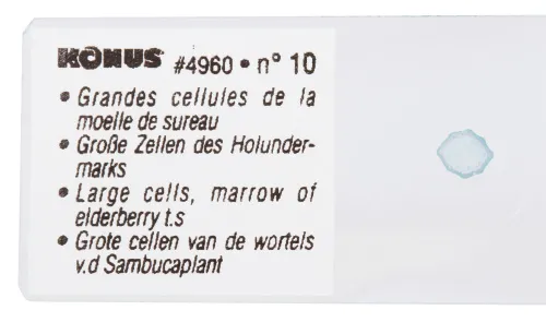 Набор микропрепаратов Konus 10: «Естественные науки» фотография