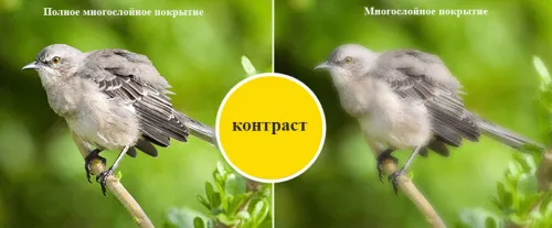 Зрительная труба SVBONY SV409 20–60x80 WP фотография