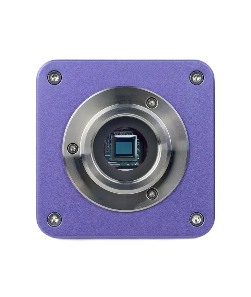 Микроскоп стереоскопический цифровой MAGUS Stereo D8T BASE картинка