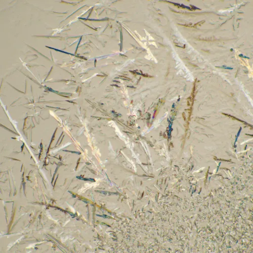 Микроскоп биологический MAGUS Bio 230B фотография