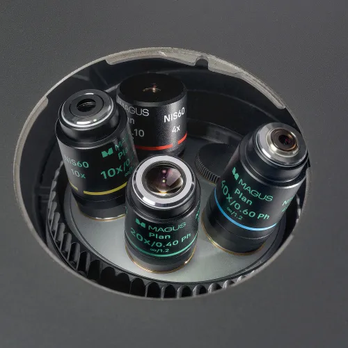 Микроскоп биологический инвертированный MAGUS Bio V360 фото