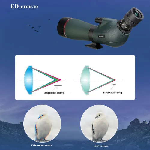 Зрительная труба SVBONY SV406P 20–60x80 ED WP картинка