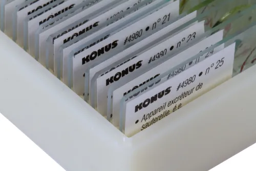 Набор микропрепаратов Konus 25: «Насекомые» фото