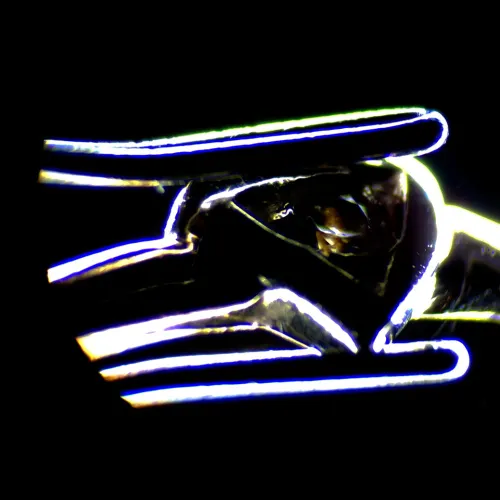 Микроскоп стереоскопический цифровой MAGUS Stereo D7T LCD PLUS изображение