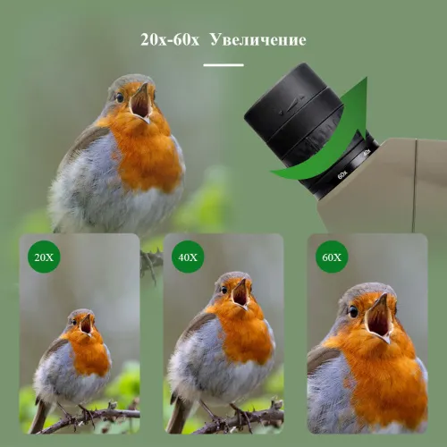 Зрительная труба SVBONY SV401 20–60x80 WP со штативом фото