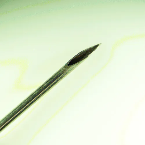 Микроскоп стереоскопический цифровой MAGUS Stereo D8T BASE фото