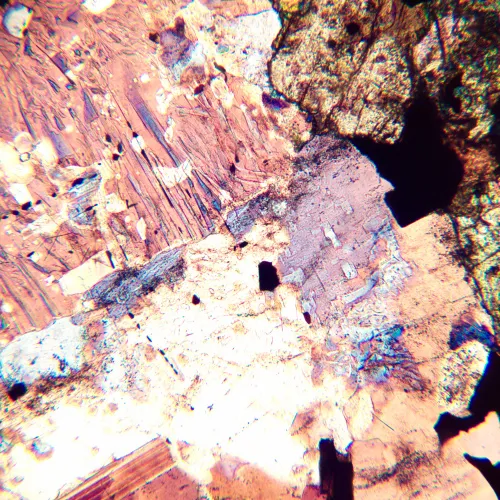 Микроскоп поляризационный цифровой MAGUS Pol D800 LCD изображение