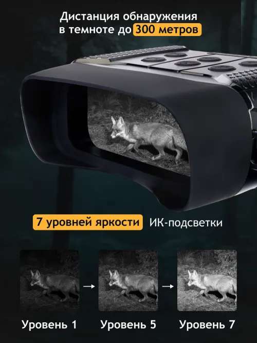 Бинокль цифровой ночного видения Levenhuk Halo 13X картинка