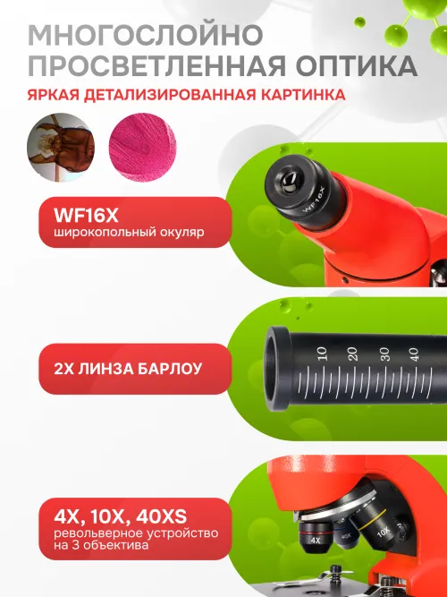 Микроскоп Levenhuk Rainbow 50L PLUS изображение