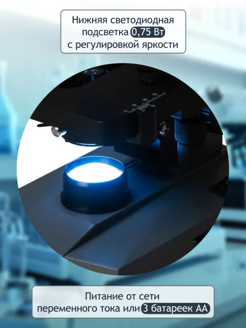 Микроскоп цифровой Levenhuk D320L PLUS, 3,1 Мпикс, монокулярный изображение
