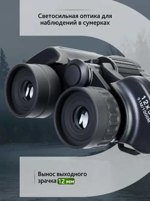 Бинокль Levenhuk Discovery Flint 12x50 изображение