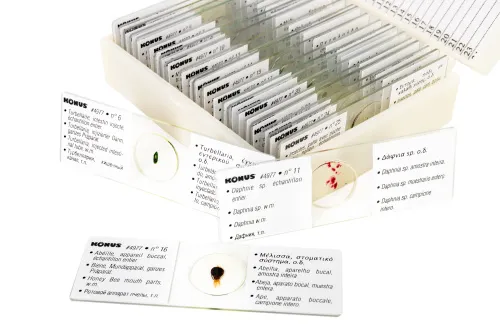 Набор микропрепаратов Konus 25: «Беспозвоночные и насекомые» картинка