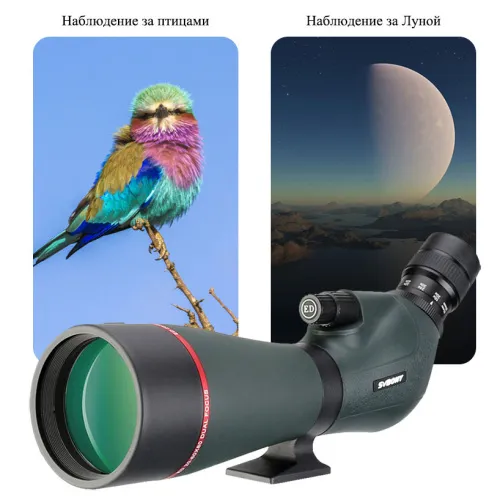 Зрительная труба SVBONY SV406P 20–60x80 ED WP фото