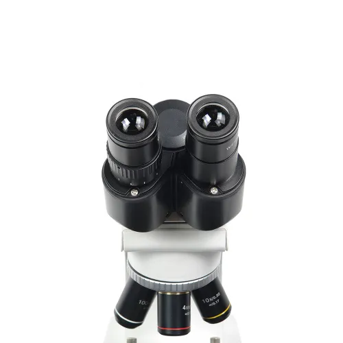 Микроскоп Микромед-1, вар. 2-20 inf. фотография