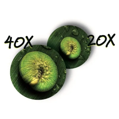 Микроскоп детский портативный Navir «Зумскоп» 20–40x, с подсветкой, прозрачный изображение