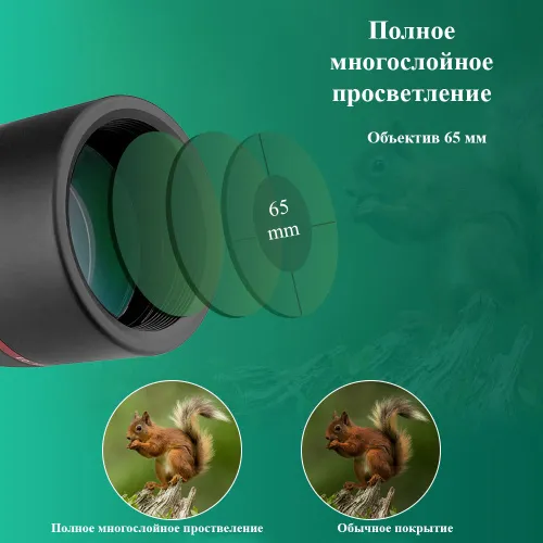 Зрительная труба SVBONY SV406P 16–48x65 ED WP изображение