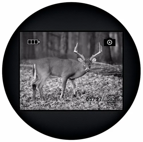 Монокуляр ночного видения Levenhuk Atom Digital DNM200 картинка